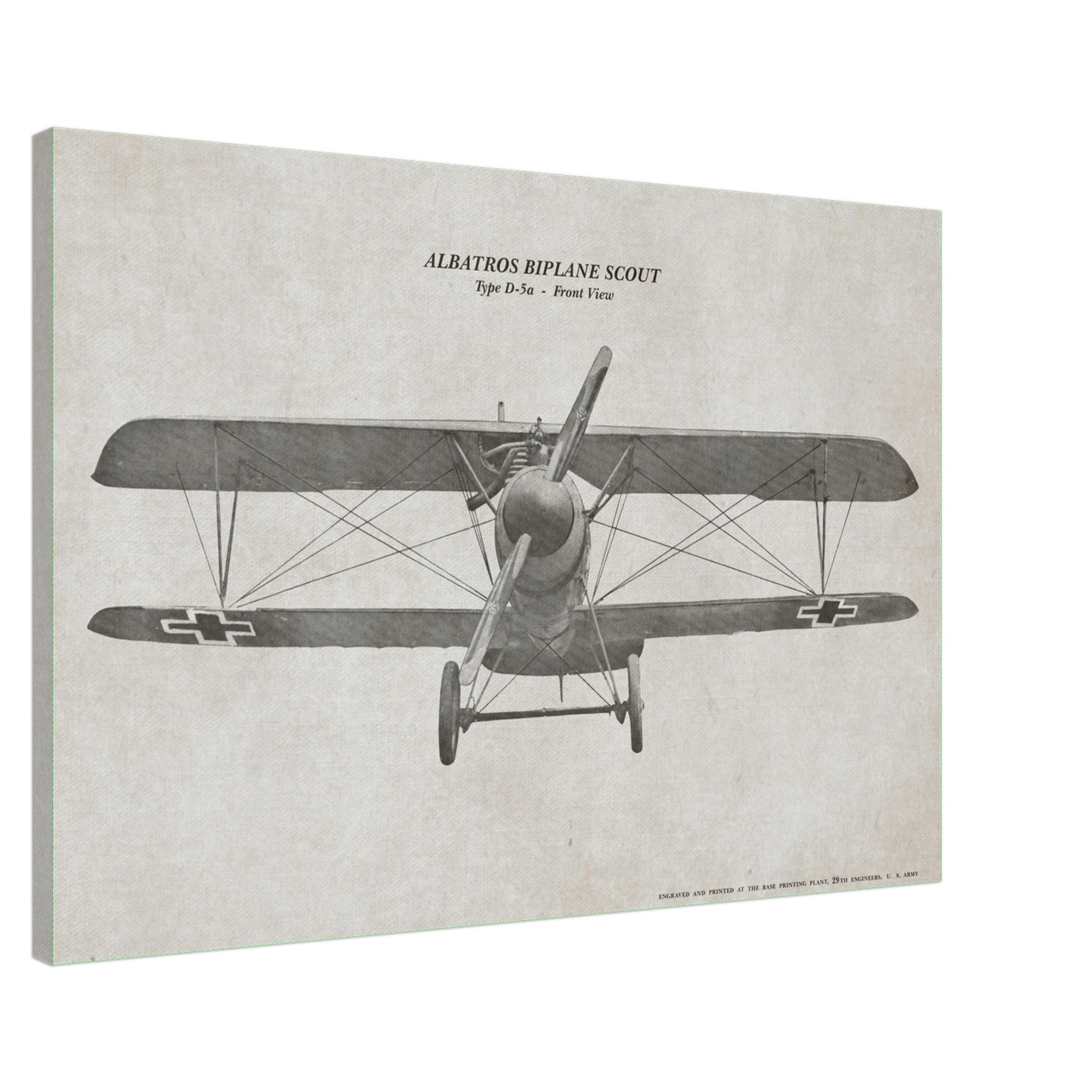 Albatros Scout D.Va Front View Canvas - I Love a Hangar