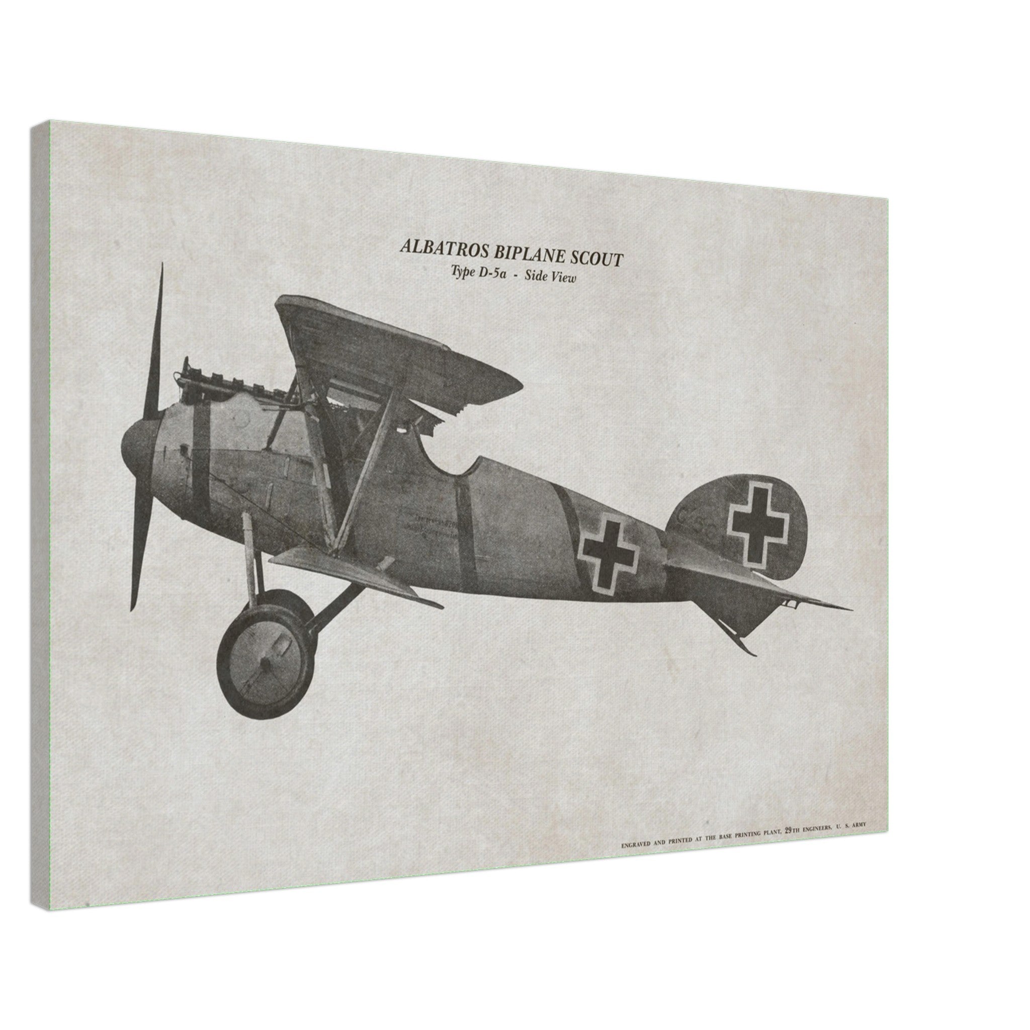 Albatros Scout D.Va Side View Canvas - I Love a Hangar