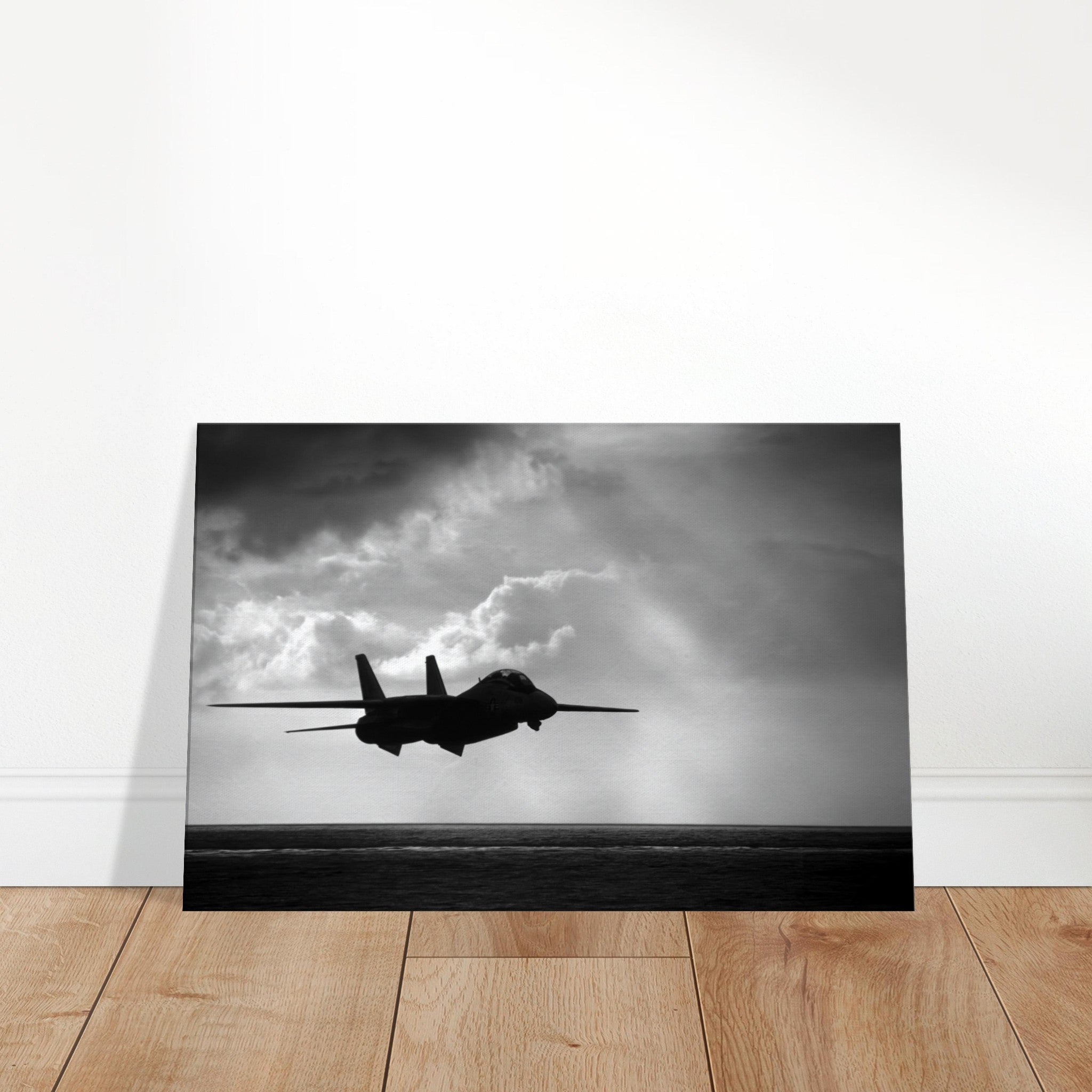 F-14 "Tomcat" on Canvas - I Love a Hangar