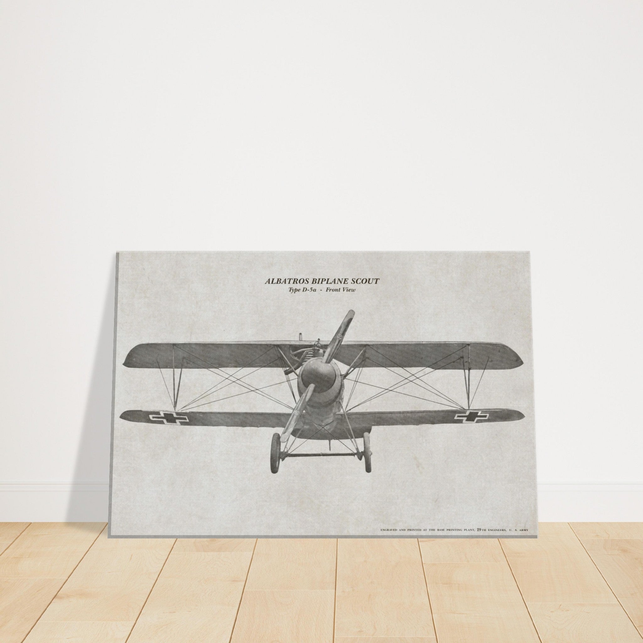 Albatros Scout D.Va Front View Canvas - I Love a Hangar