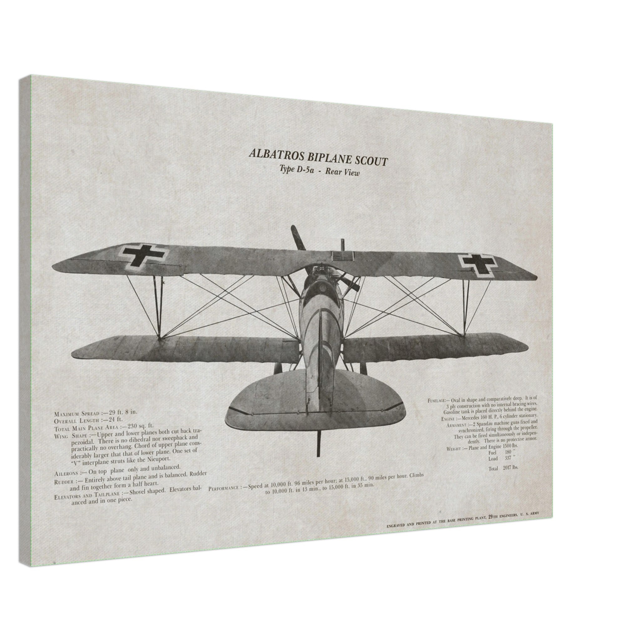 Albatros Scout D.Va Rear View Canvas - I Love a Hangar