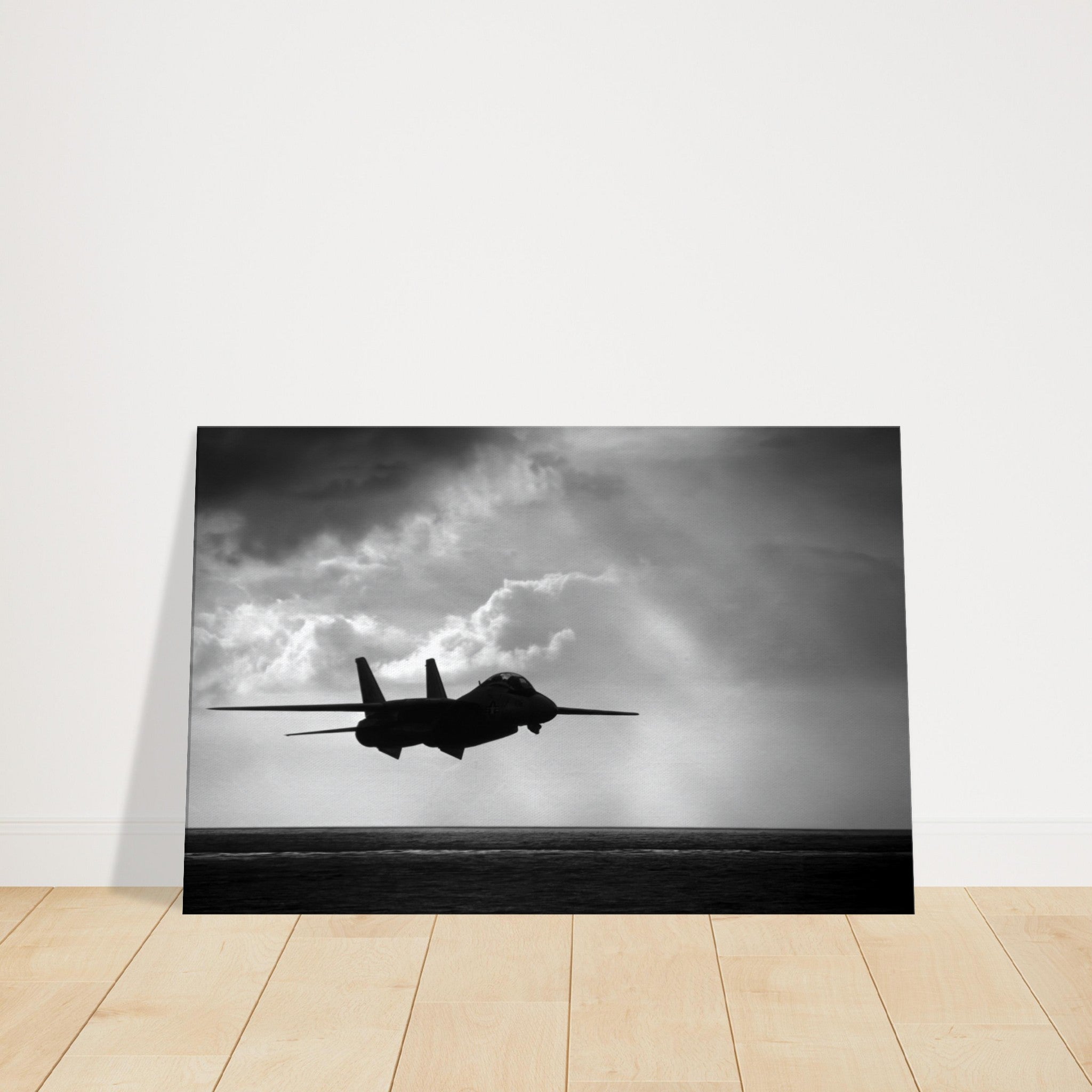 F-14 "Tomcat" on Canvas - I Love a Hangar