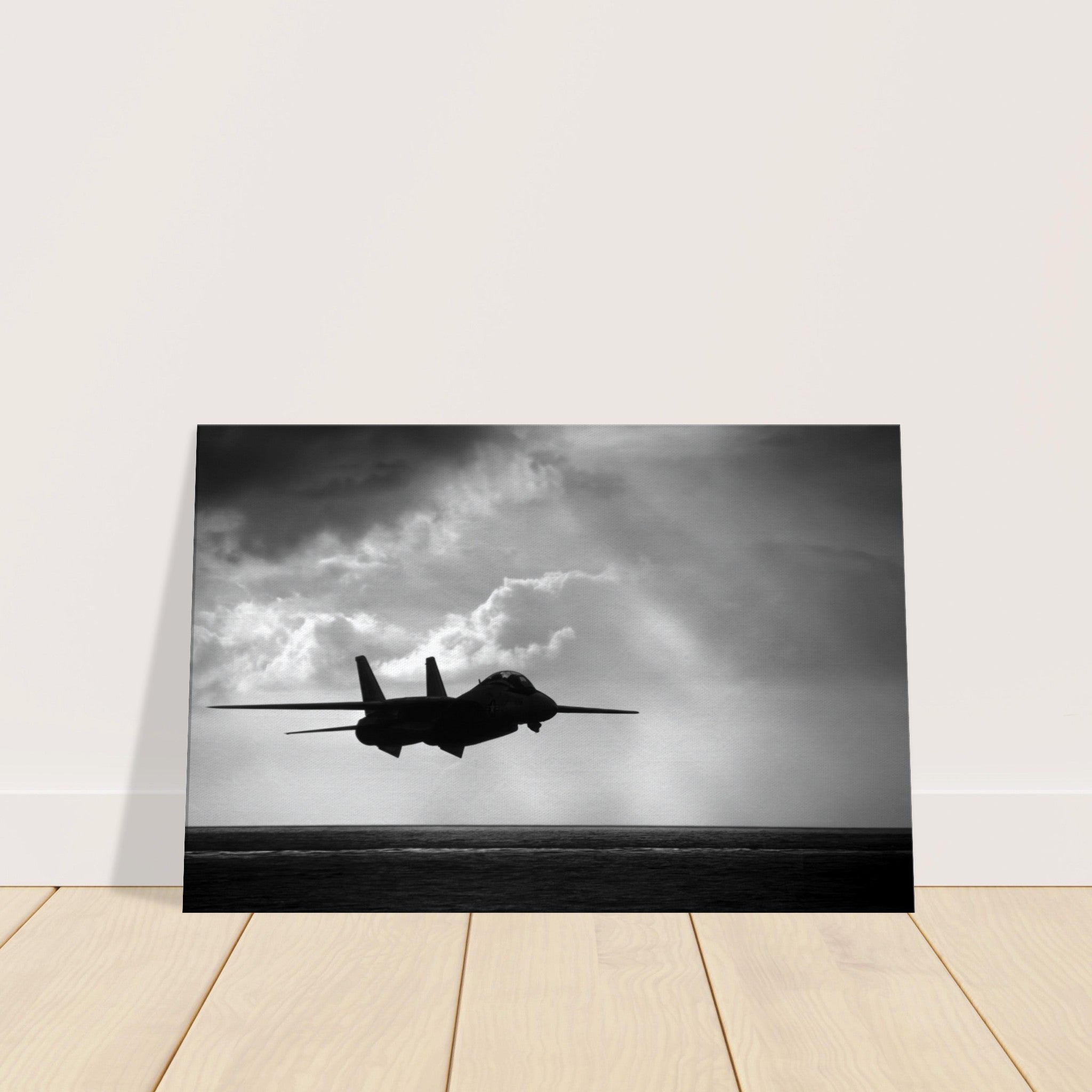 F-14 "Tomcat" on Canvas - I Love a Hangar