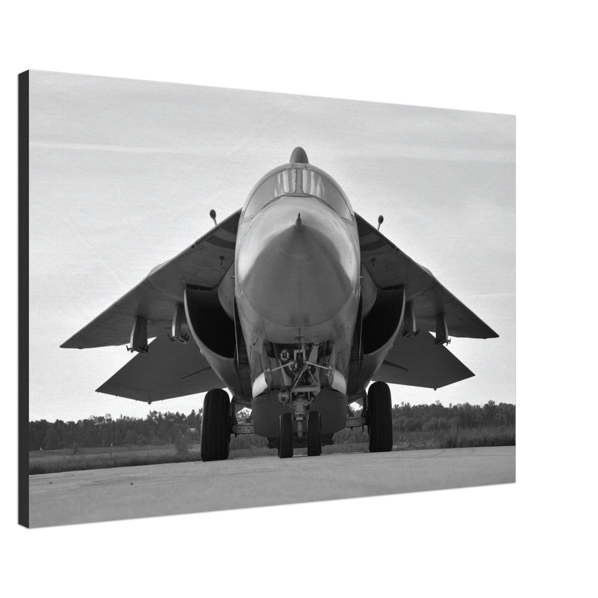 EF-111 "Raven" on Canvas - I Love a Hangar