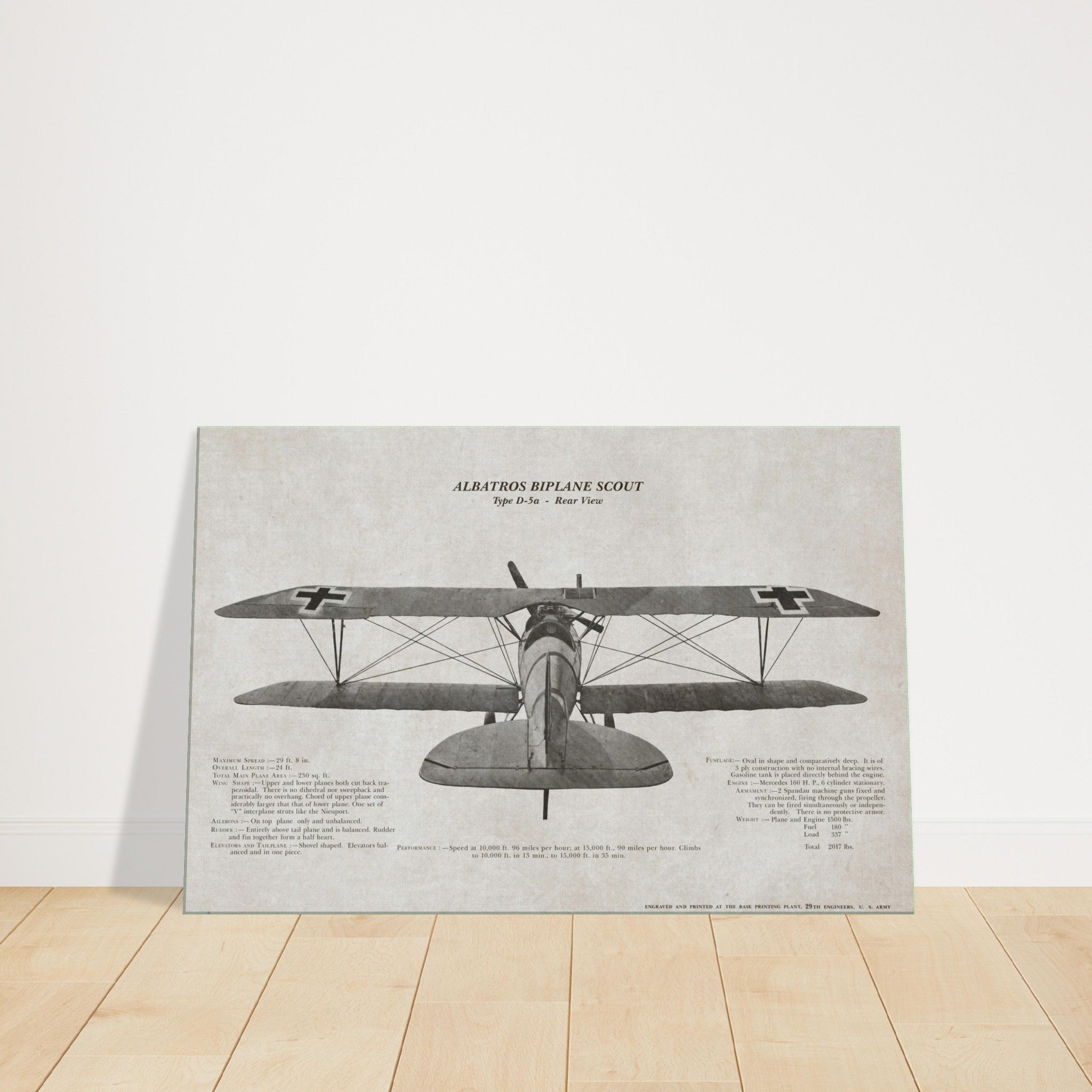 Albatros Scout D.Va Rear View Canvas - I Love a Hangar