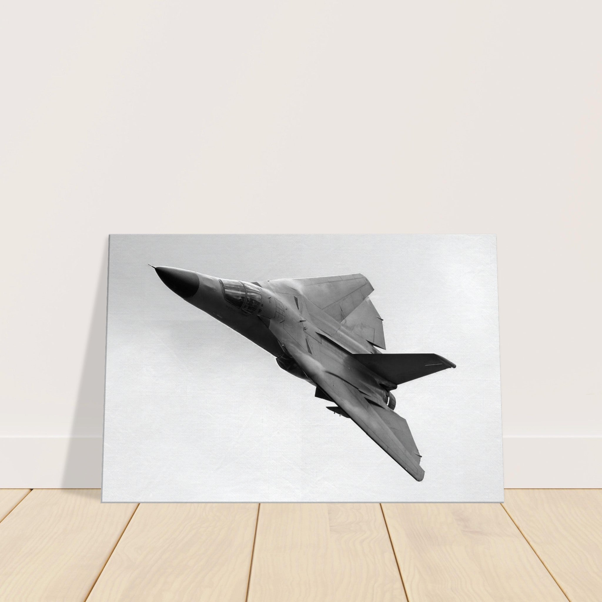 F-111 "Aardvark " on Canvas - I Love a Hangar