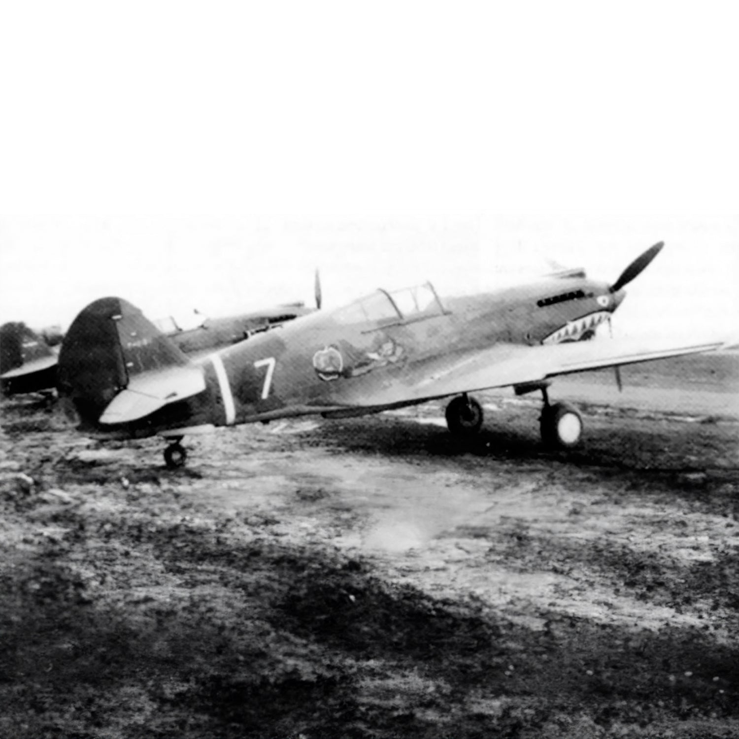 P-40 "White #7" of Robert Neale Low Top Canvas Shoes - I Love a Hangar