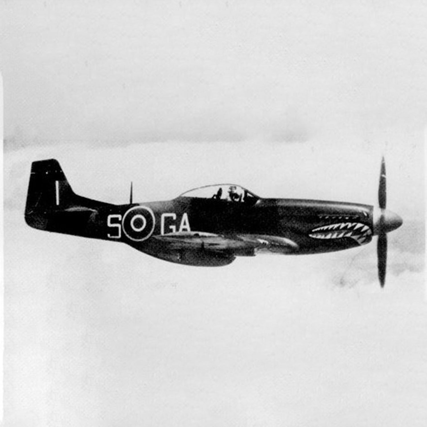 P-51 "GA-S" (KH774) Low Top Canvas Shoes - I Love a Hangar