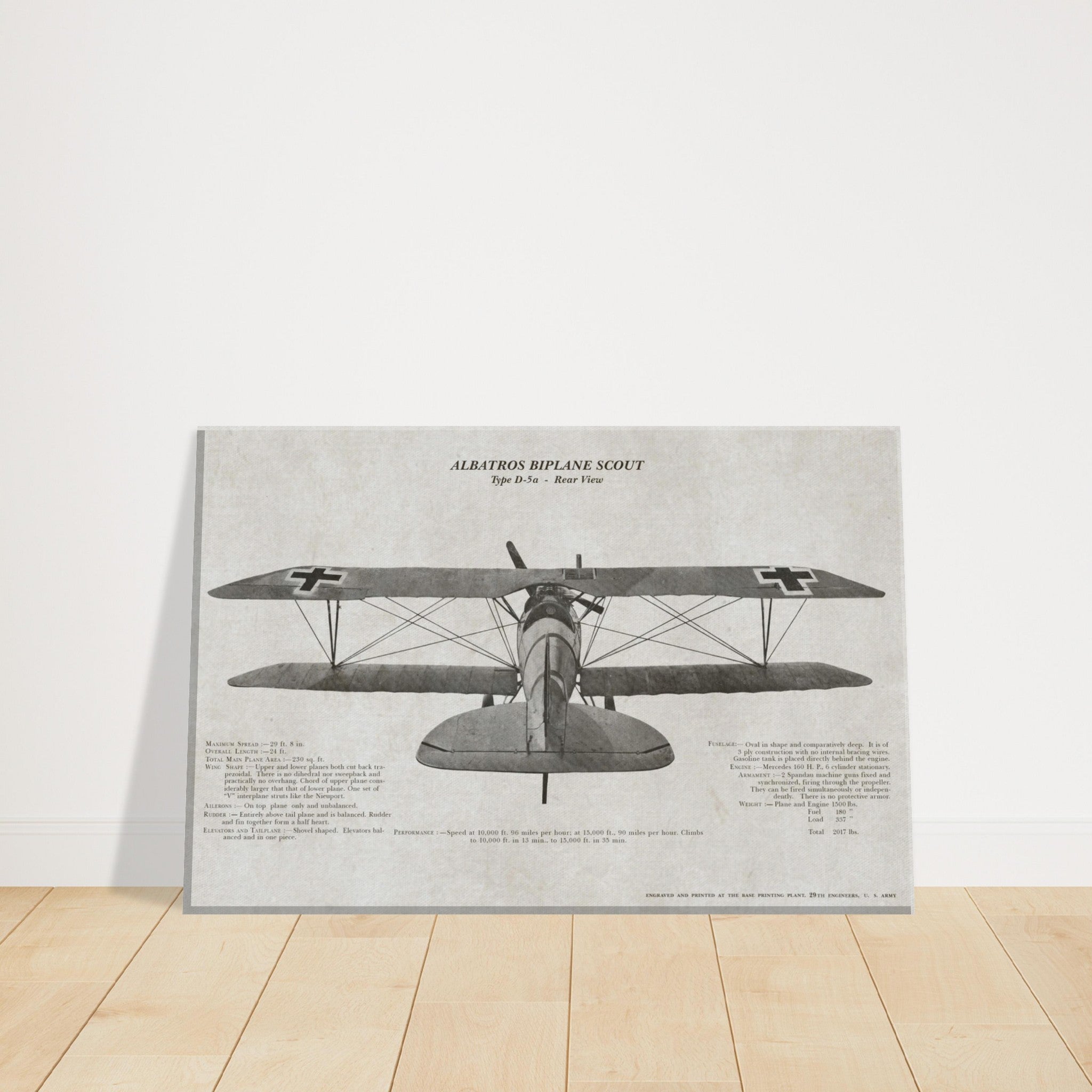 Albatros Scout D.Va Rear View Canvas - I Love a Hangar
