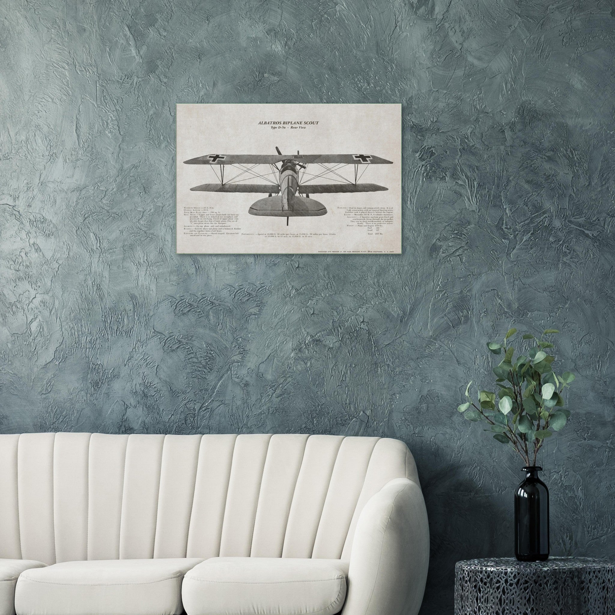 Albatros Scout D.Va Rear View Canvas - I Love a Hangar
