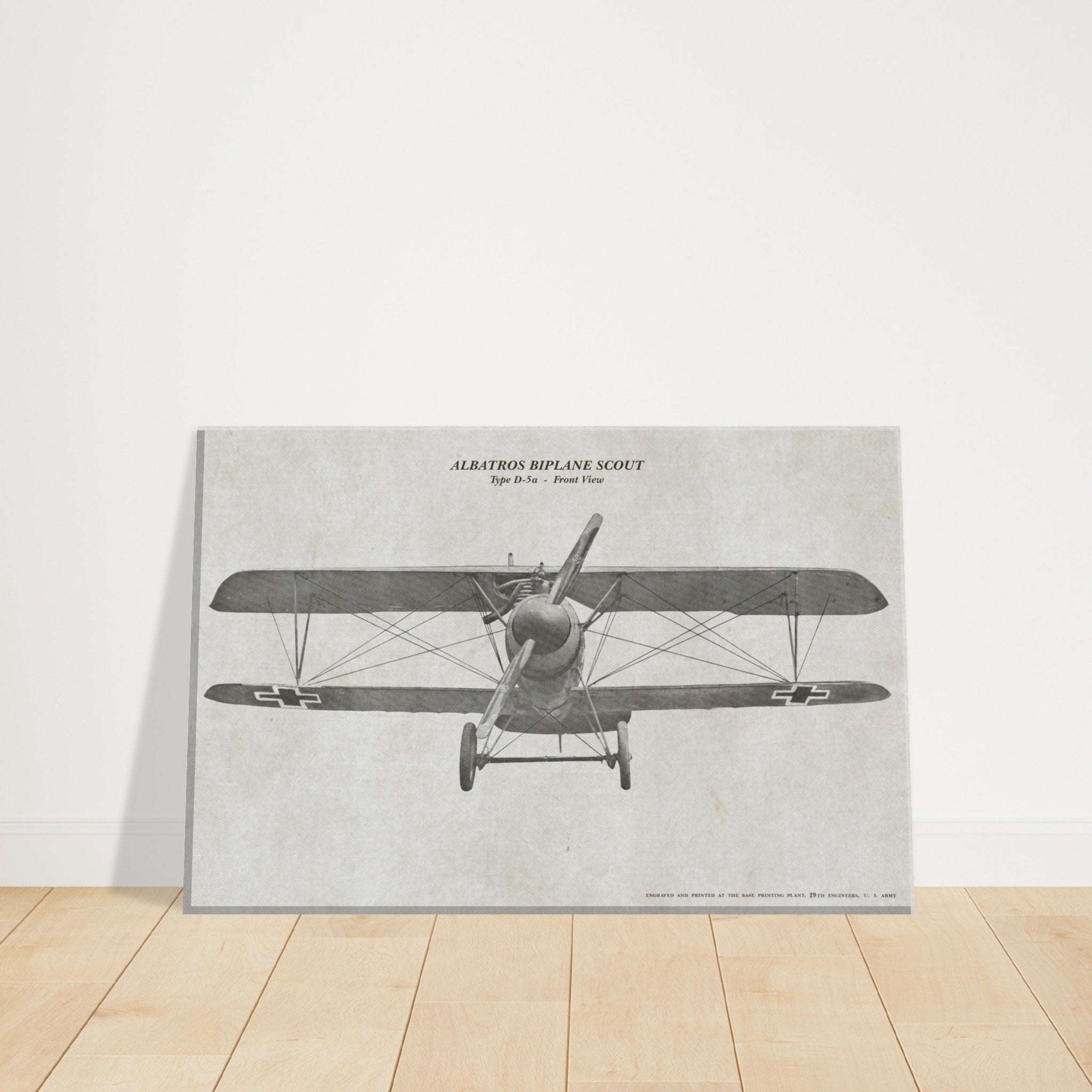 Albatros Scout D.Va Front View Canvas - I Love a Hangar