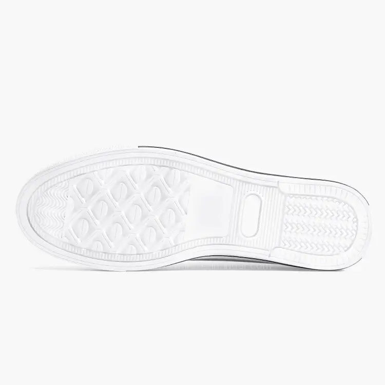 CF-105 Arrow #206 Low Top Canvas Shoes (Low Vis) - I Love a Hangar
