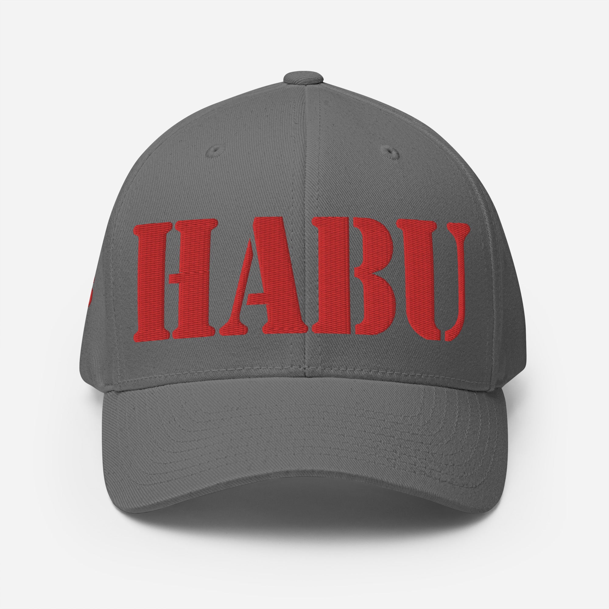 SR-71 "HABU" (61-7976) Structured Twill Cap - I Love a Hangar