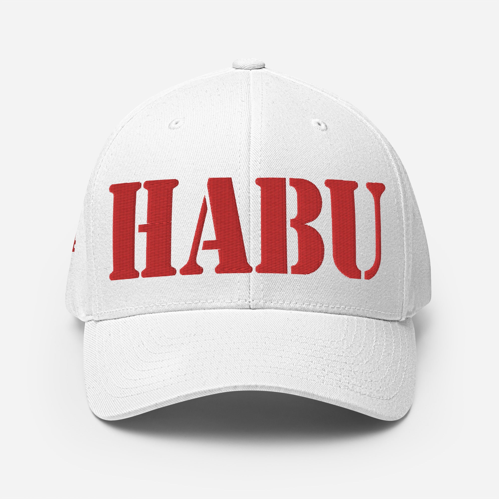 SR-71 "HABU" (61-7974) Structured Twill Cap - I Love a Hangar