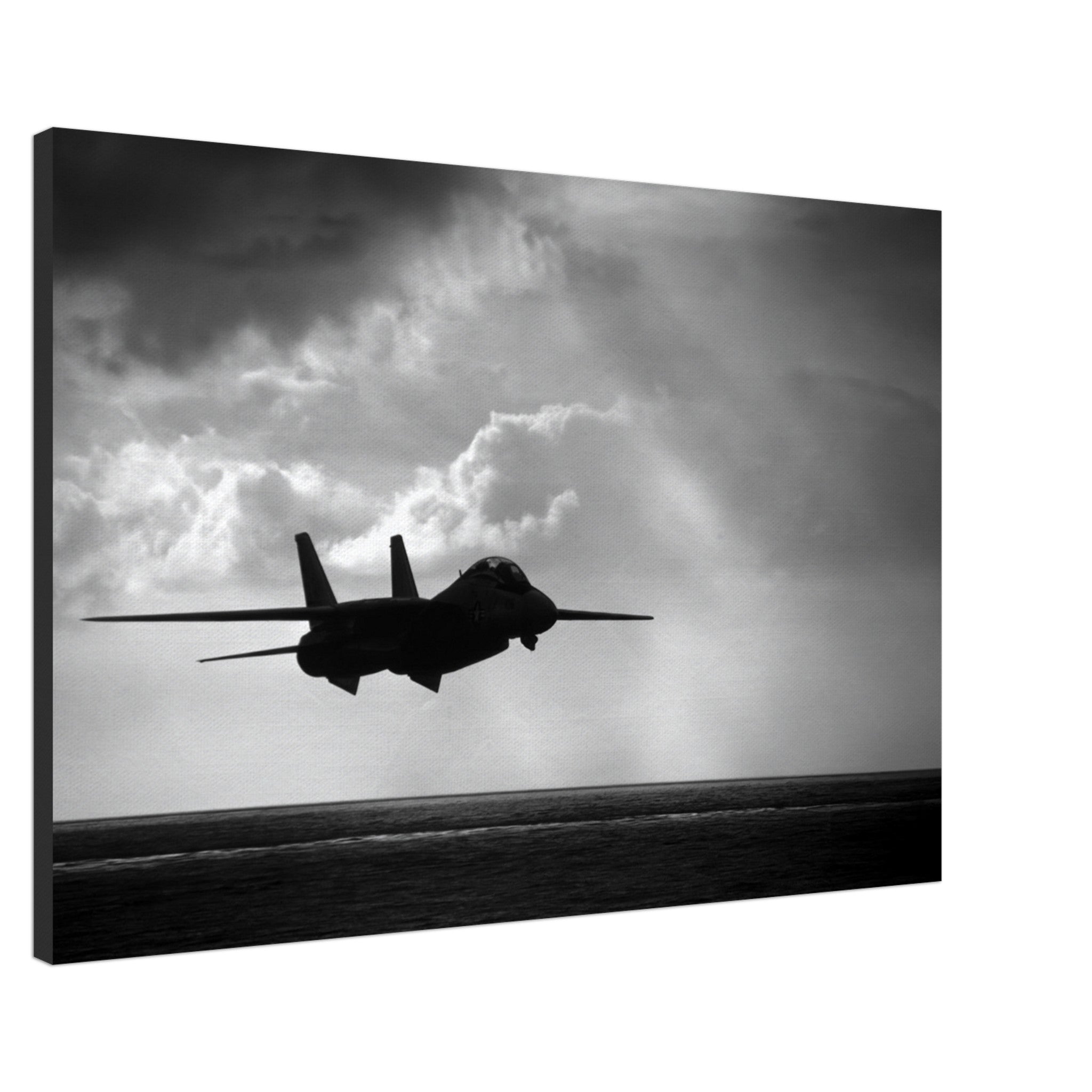 F-14 "Tomcat" on Canvas - I Love a Hangar