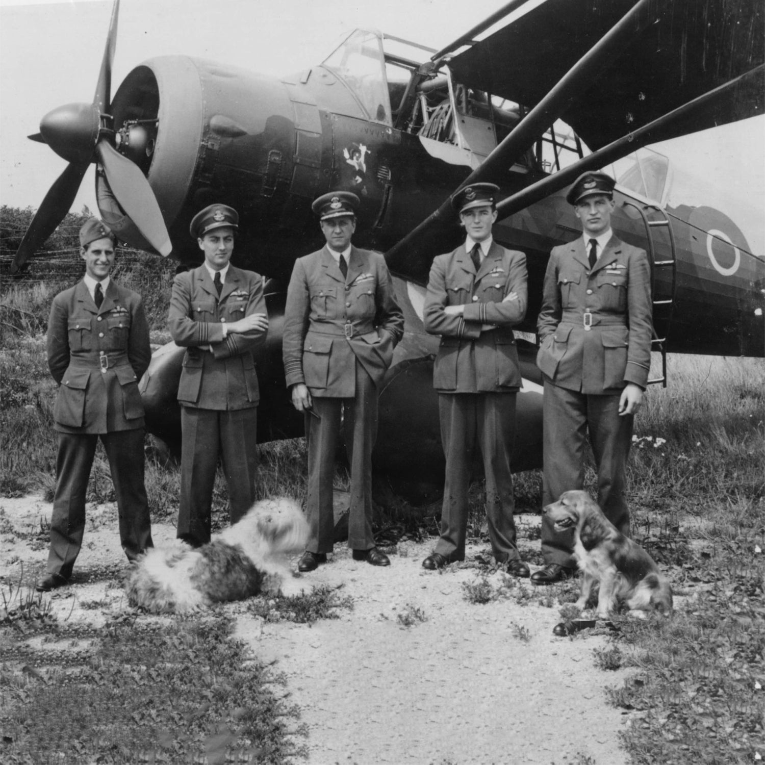 Lysander "MA-J" Low Top Canvas Shoes - I Love a Hangar