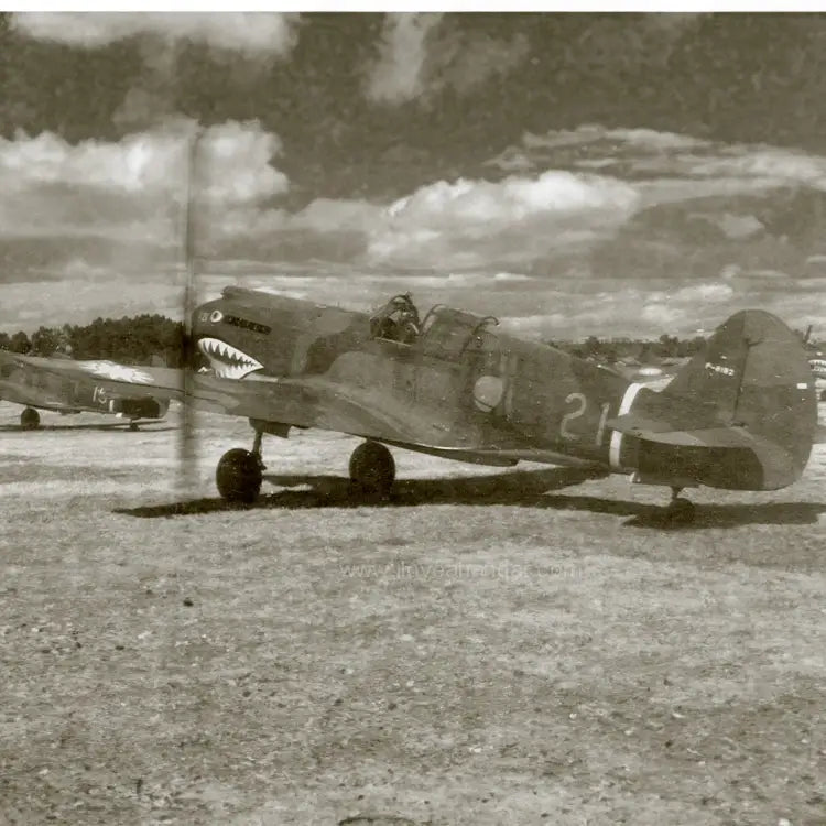 P-40 "White #21" of Pappy Boyington Low Top Canvas Shoes - I Love a Hangar