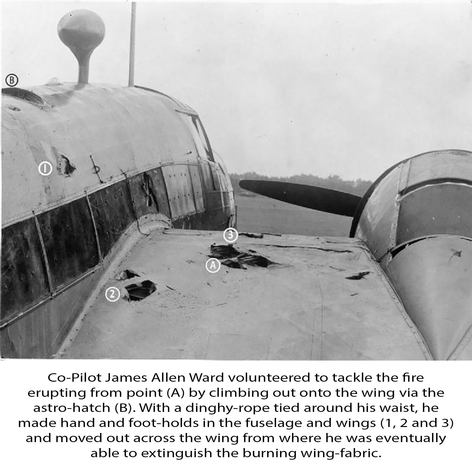 Wellington "AA-R" Low Top Canvas Shoes - I Love a Hangar