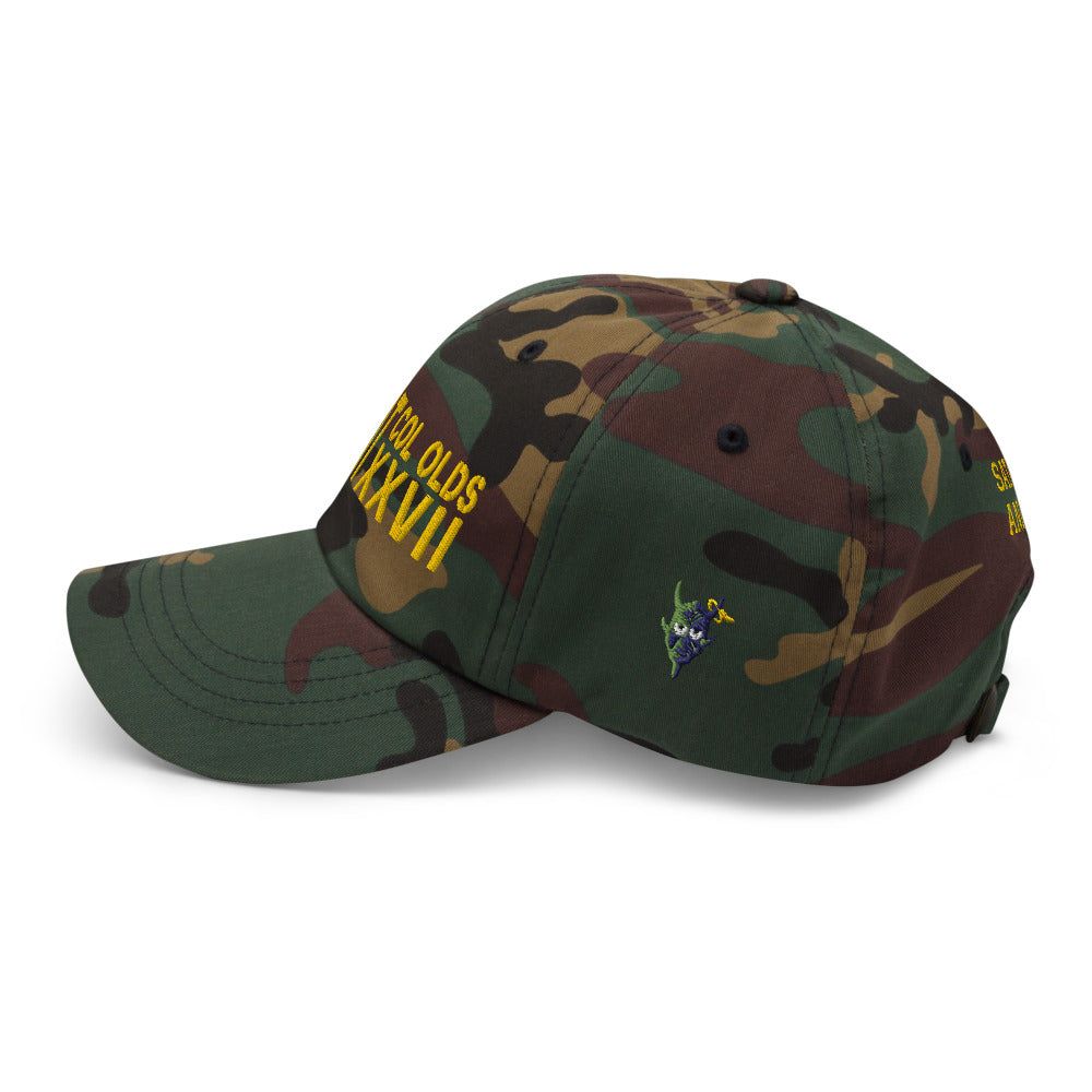 SCAT XXVIII Dad Hat - I Love a Hangar