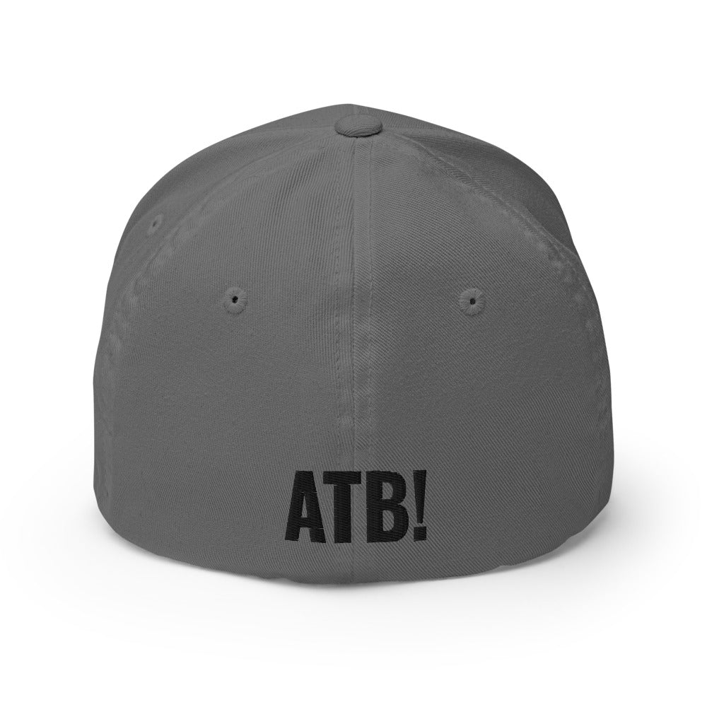 F-14 Tomcat ("ATB!") Structured Twill Cap - I Love a Hangar