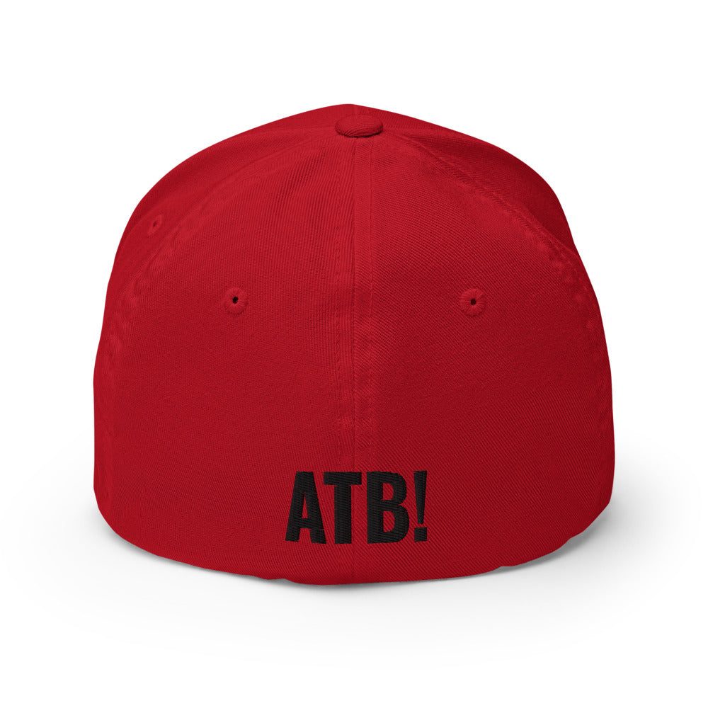 F-14 Tomcat ("ATB!") Structured Twill Cap - I Love a Hangar