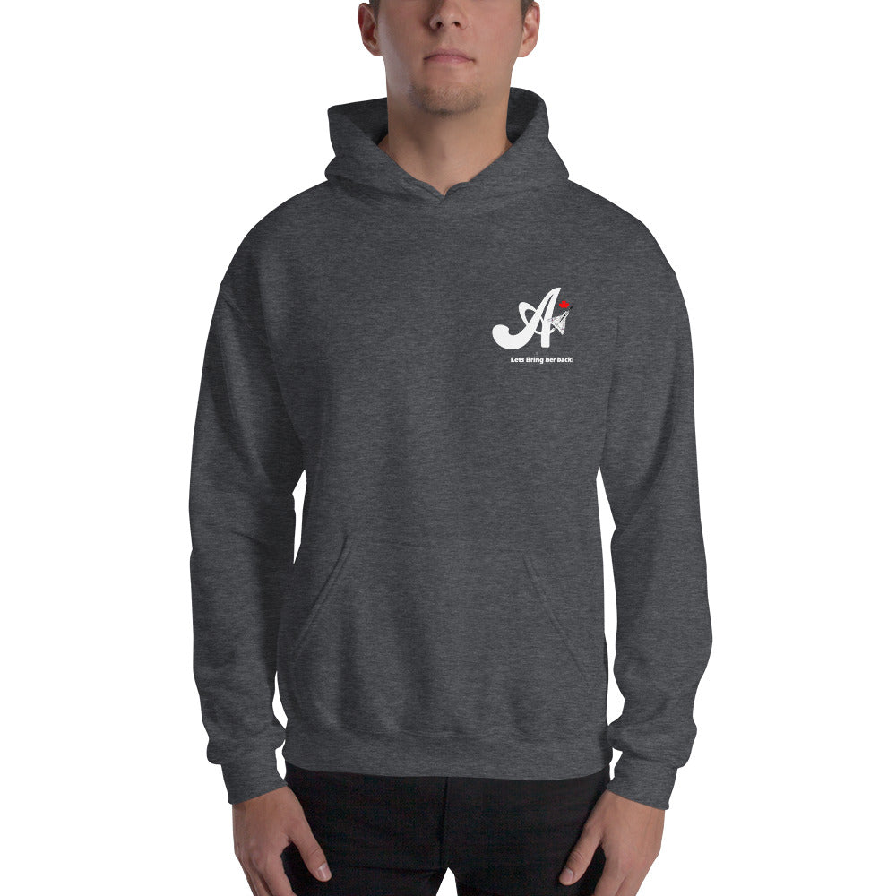 CF-105 Arrow #206 Unisex Heavy Blend Hoodie - I Love a Hangar