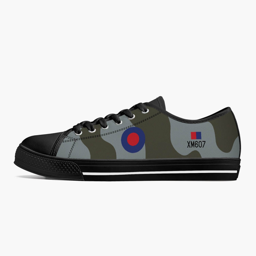 Avro Vulcan #607 Low Top Canvas Shoes - I Love a Hangar
