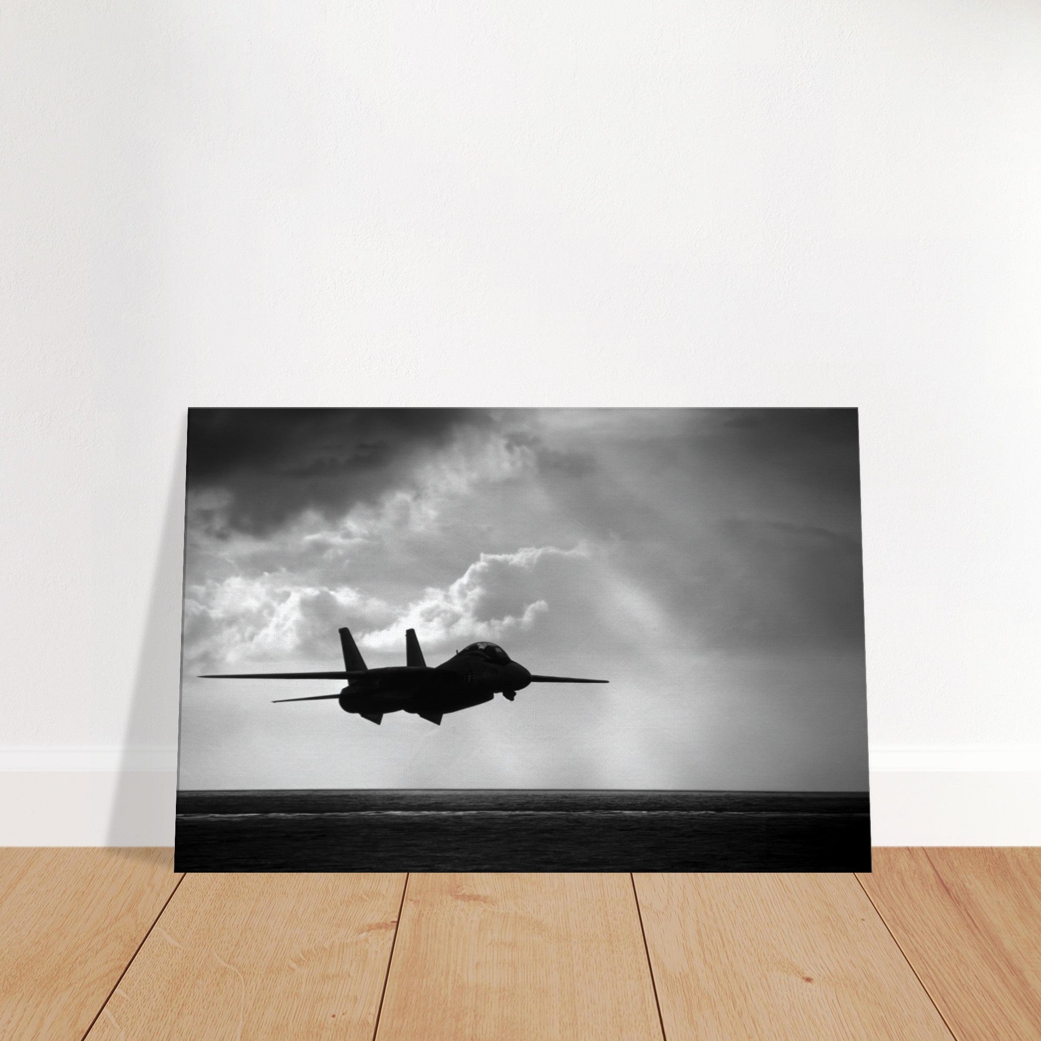 F-14 "Tomcat" on Canvas - I Love a Hangar