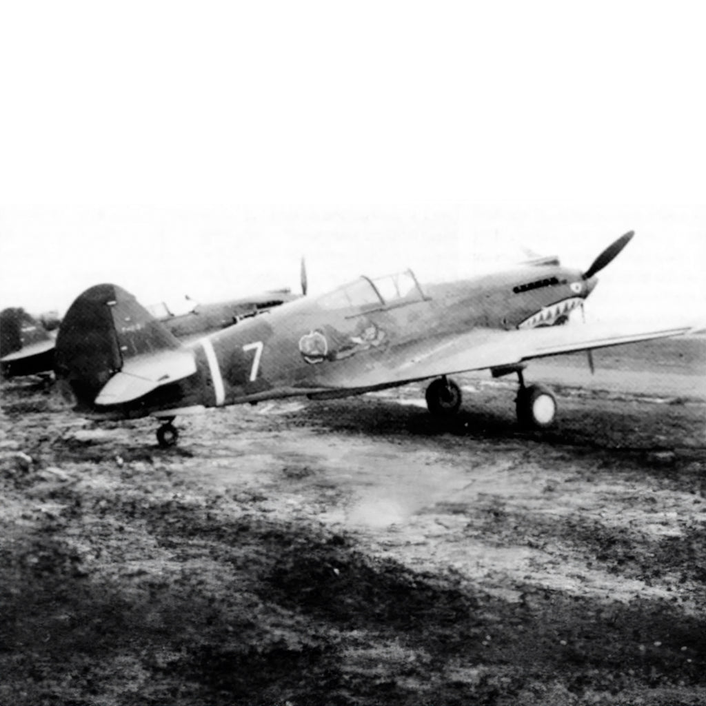 P-40 "White #7" of Robert Neale Low Top Canvas Shoes - I Love a Hangar