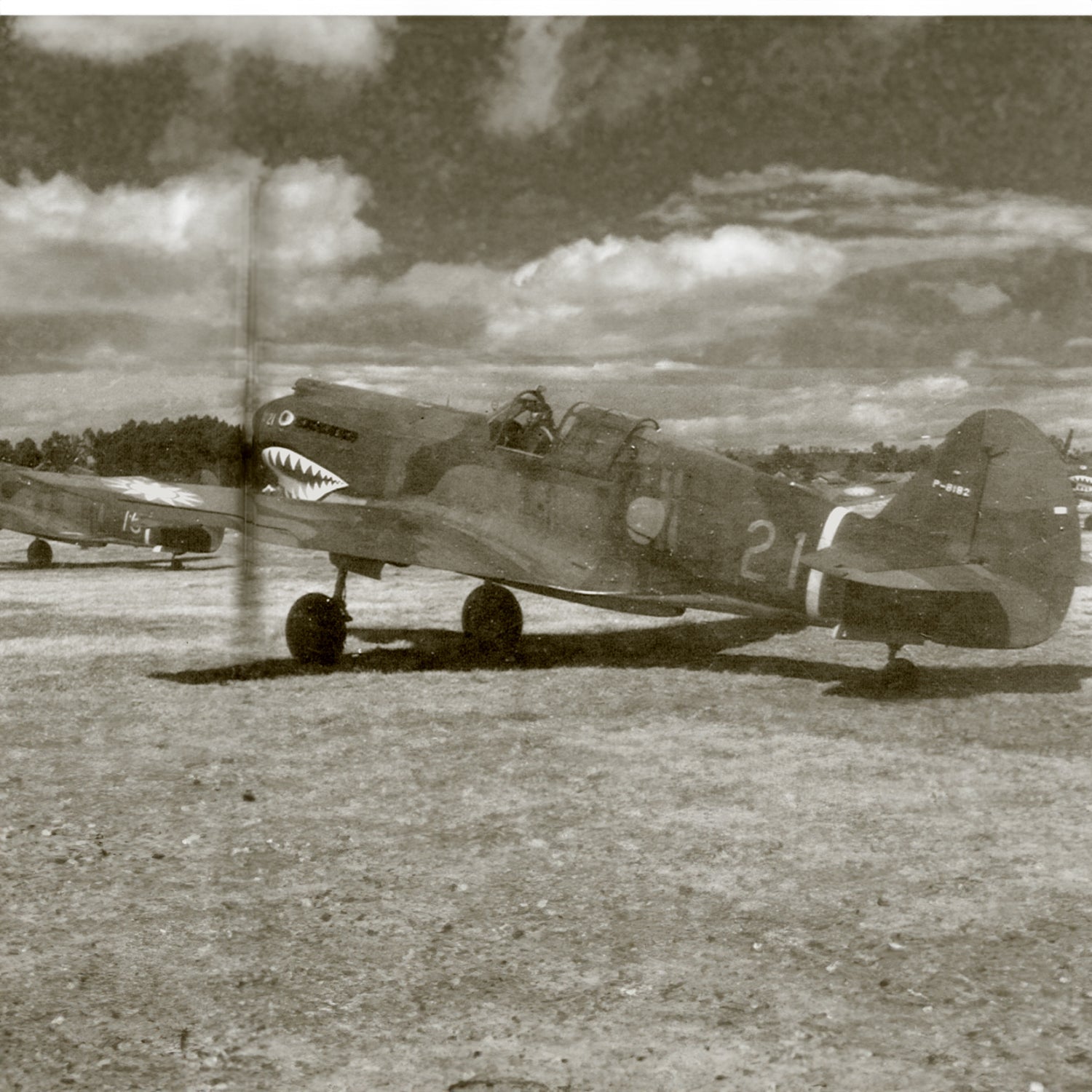 P-40 "White #21" of Pappy Boyington Low Top Canvas Shoes