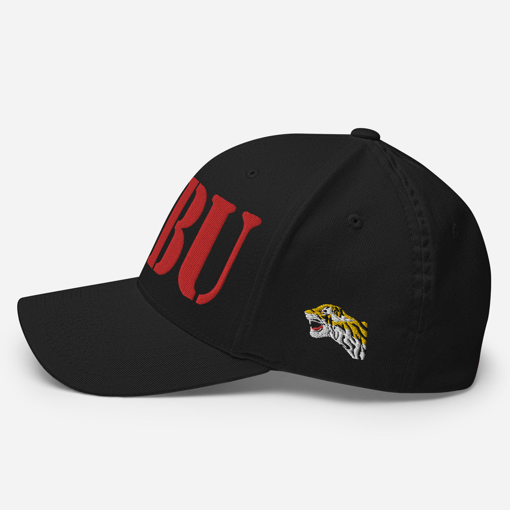 SR-71 "HABU" (61-7976) Structured Twill Cap - I Love a Hangar