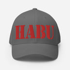 SR-71 "HABU" (61-7975) Structured Twill Cap - I Love a Hangar