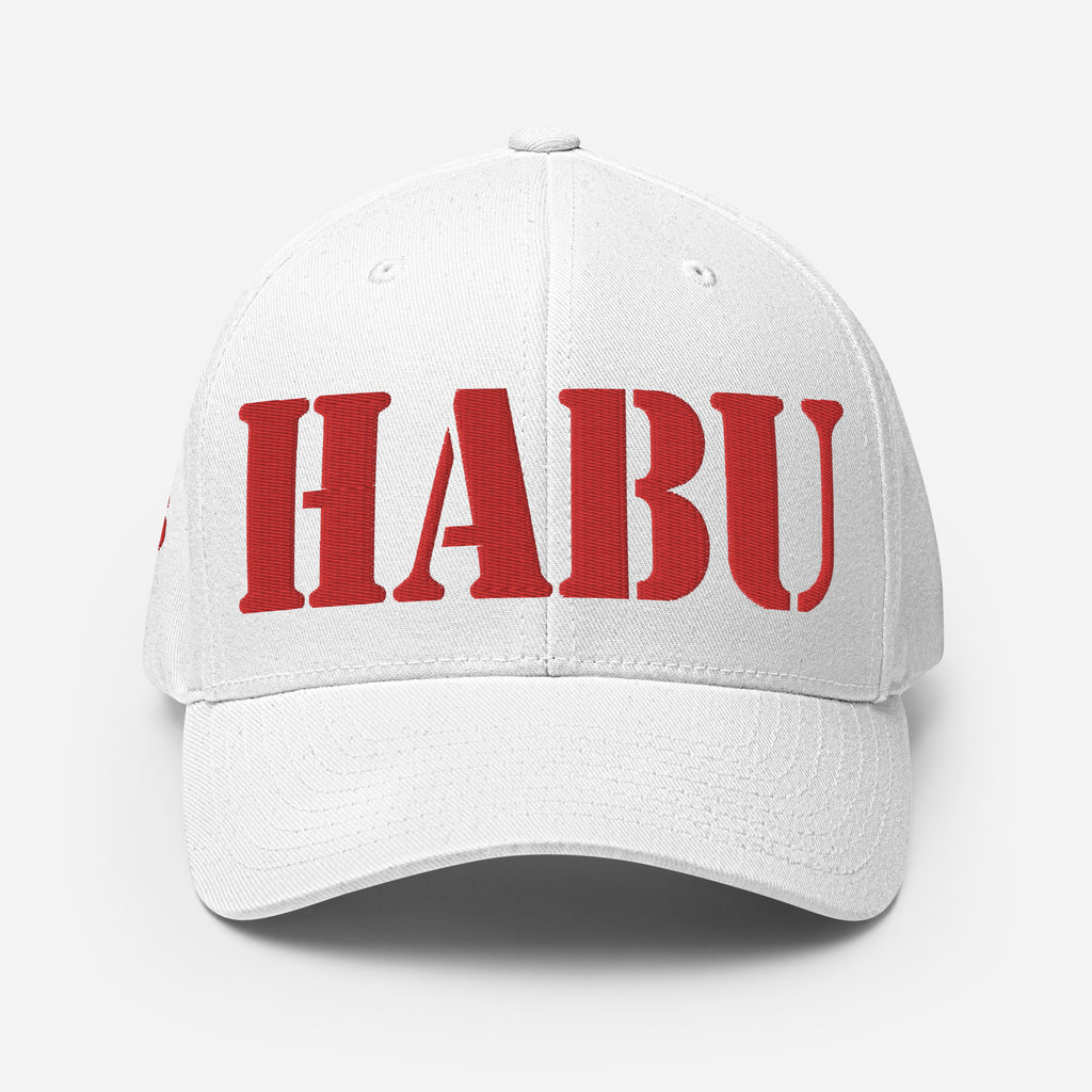 SR-71 "HABU" (61-7976) Structured Twill Cap - I Love a Hangar