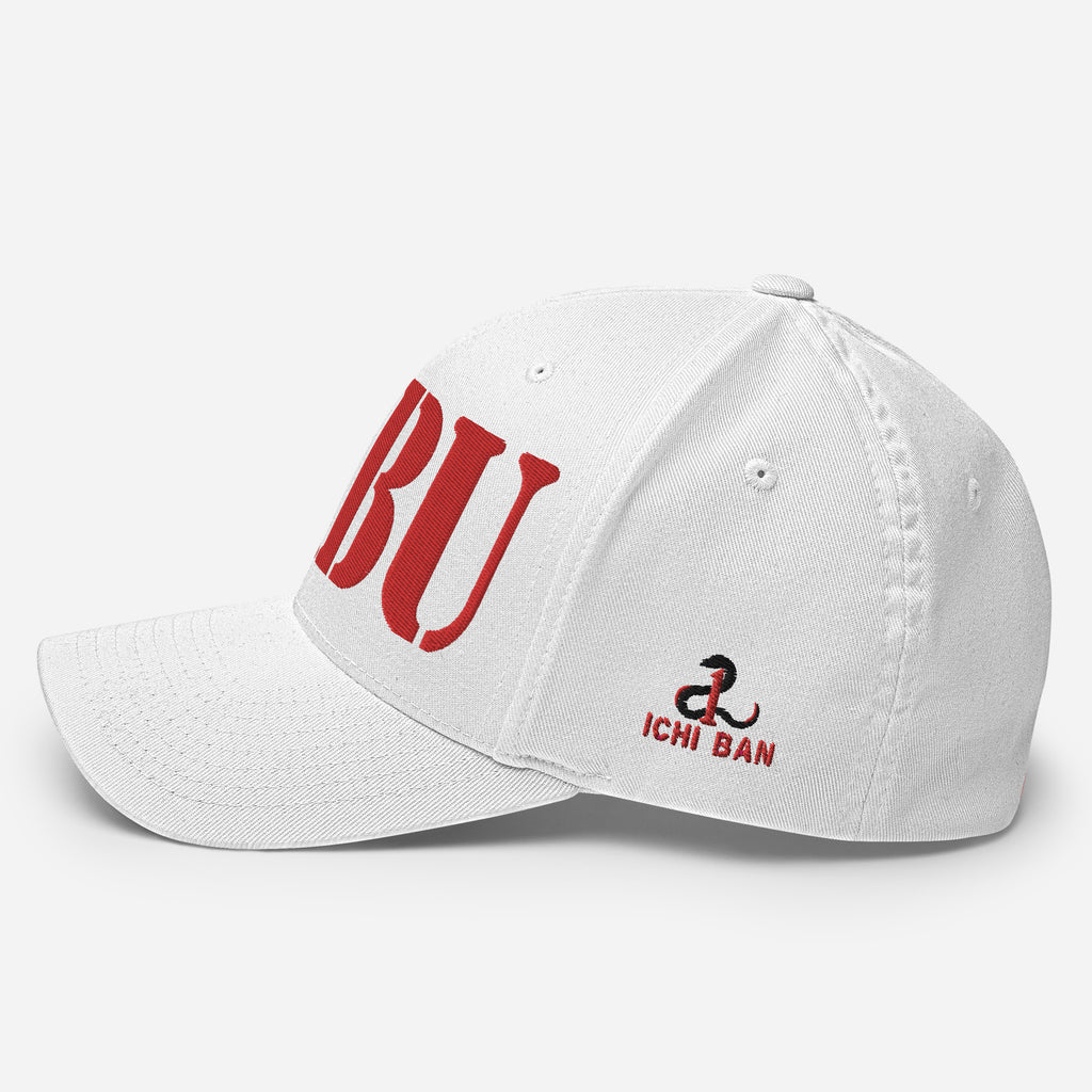 SR-71 "HABU" (61-7974) Structured Twill Cap - I Love a Hangar