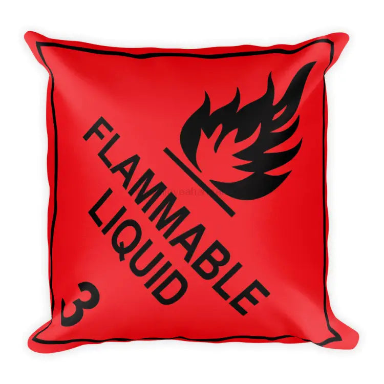 Flammable Liquid Sign Throw Pillow - Double Sided Print - I Love a Hangar
