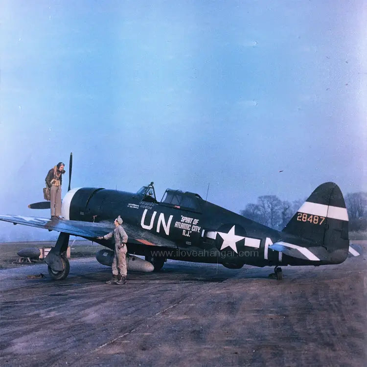 P-47 "UN-M" Low Top Canvas Shoes - I Love a Hangar
