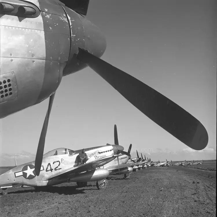 P-51 "Creamer's Dream" Low Top Canvas Shoes - I Love a Hangar