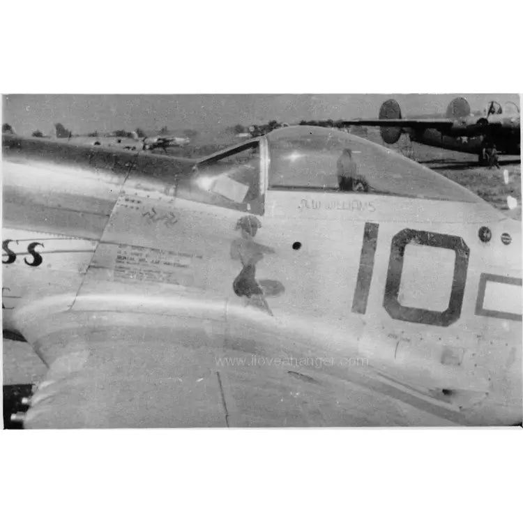 P-51 "Duchess Arlene" Low Top Canvas Shoes - I Love a Hangar