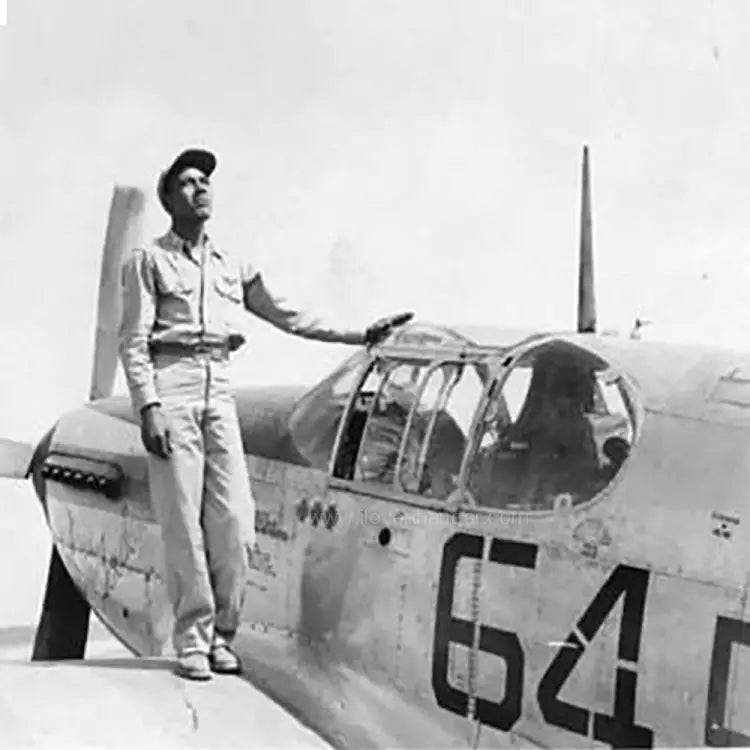 P-51 "Joedebelle" Low Top Canvas Shoes - I Love a Hangar