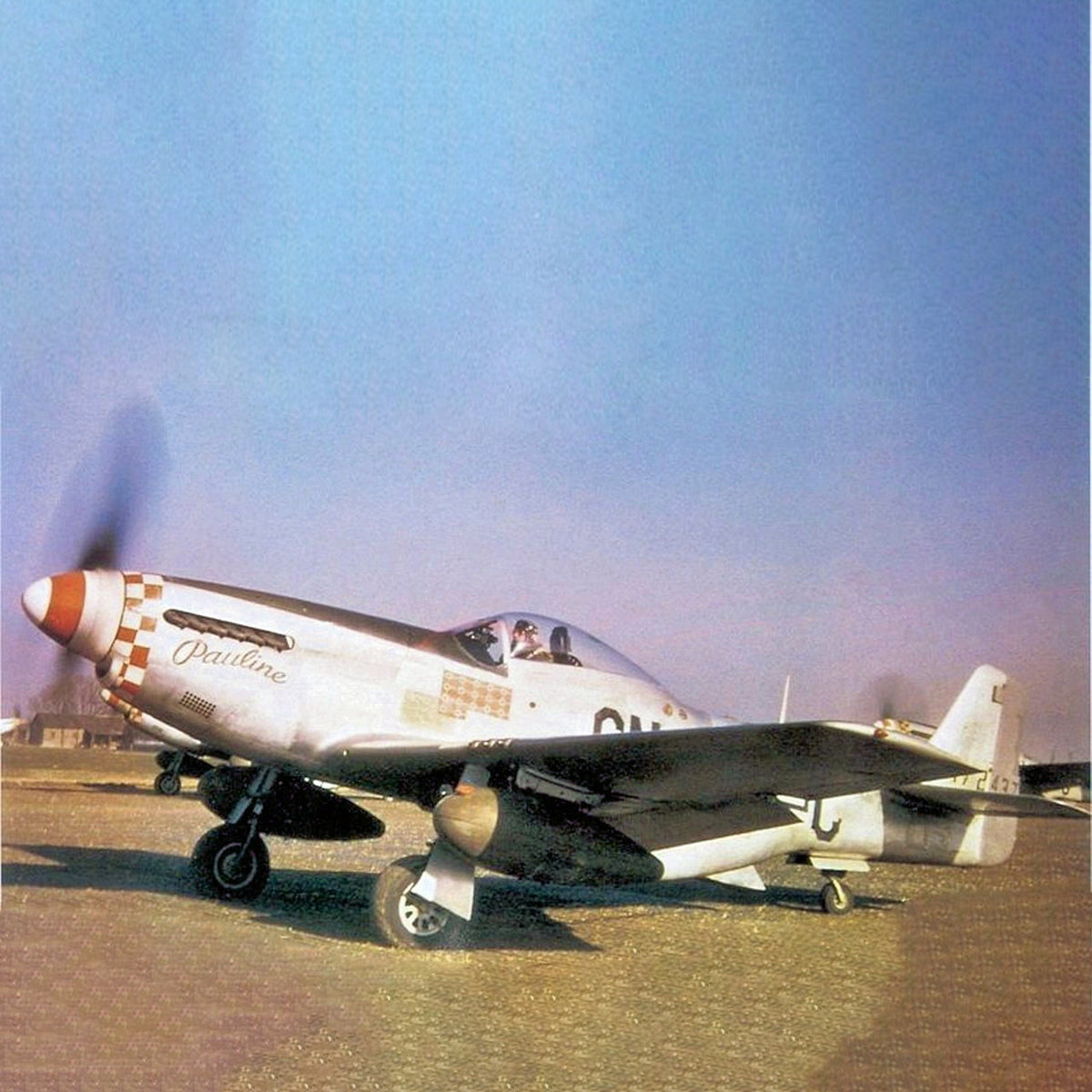 P-51 "Pauline" Low Top Canvas Shoes - I Love a Hangar