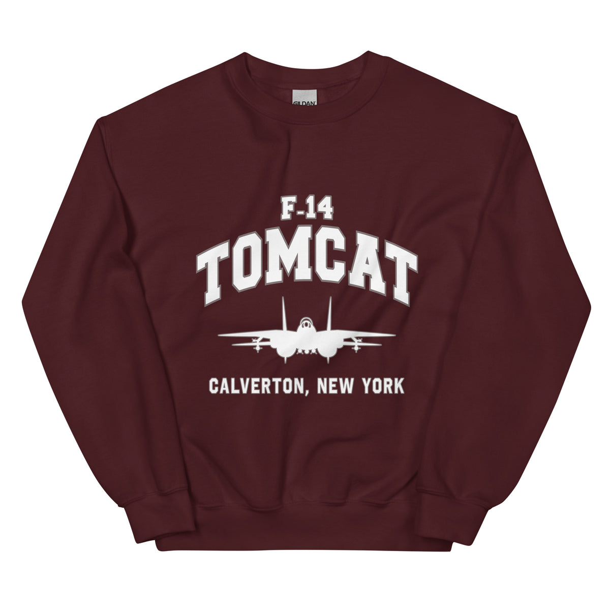 F-14 Tomcat College Style Unisex Sweatshirt - I Love a Hangar