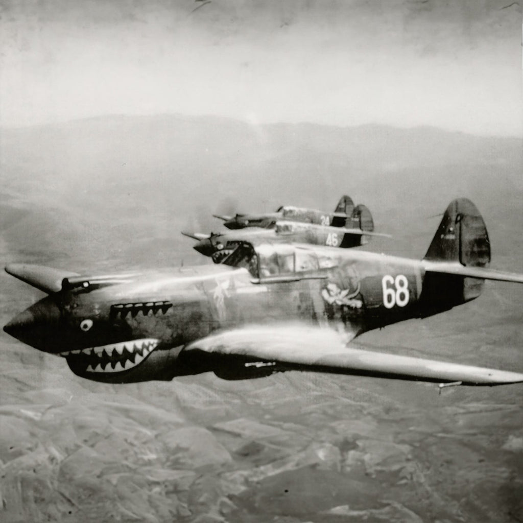 P-40 "White 68" of Charles Older Low Top Canvas Shoes - I Love a Hangar