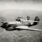 P-40 "White 68" of Charles Older Low Top Canvas Shoes - I Love a Hangar